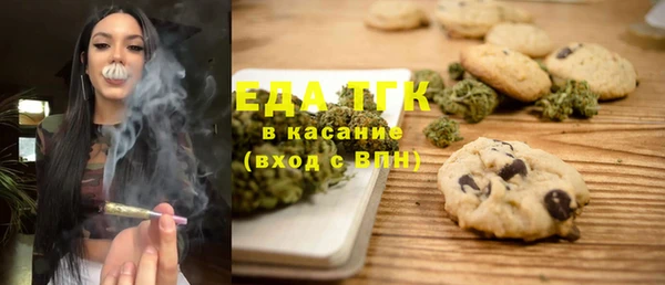 индика Аркадак