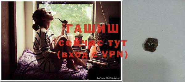 индика Аркадак