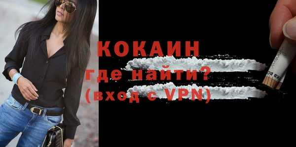 индика Аркадак