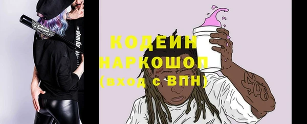 индика Аркадак