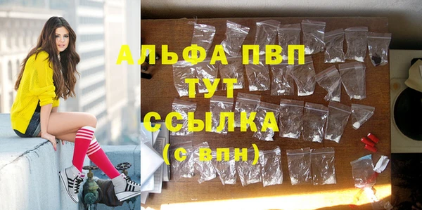 индика Аркадак