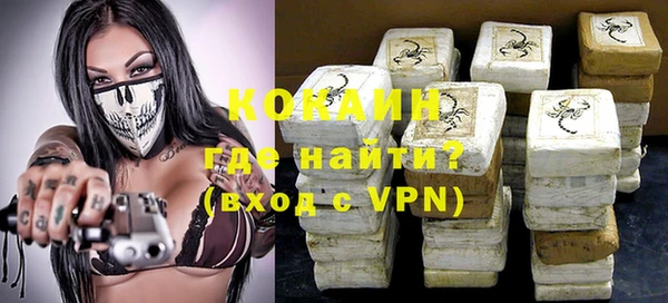 индика Аркадак