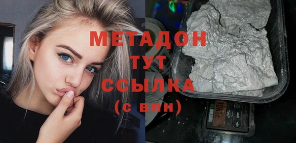 индика Аркадак