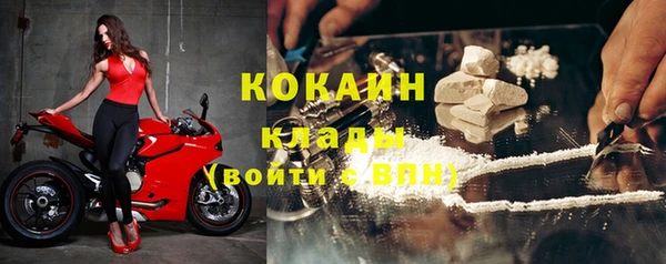 амф Алзамай