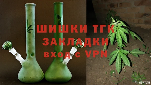 индика Аркадак
