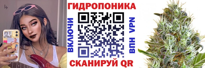 Конопля сатива  Можга 